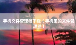 手机文件管理器下载（手机里的文件管理器）