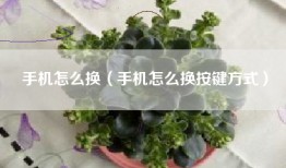 手机怎么换（手机怎么换按键方式）