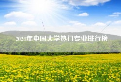 2024年中国大学热门专业排行榜