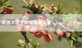 全国大学生职业规划大赛：https：／／zgs.chsi.com.cn／