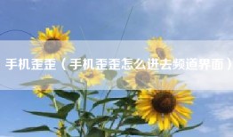 手机歪歪（手机歪歪怎么进去频道界面）