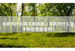 手机为什么收不到信息（手机为什么收不到信息验证码）