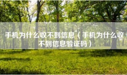 手机为什么收不到信息（手机为什么收不到信息验证码）