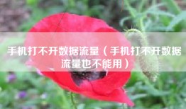 手机打不开数据流量（手机打不开数据流量也不能用）