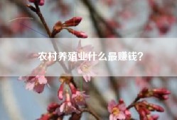 农村养殖业什么最赚钱？