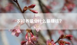 农村养殖业什么最赚钱？