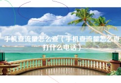 手机查流量怎么查（手机查流量怎么查打什么电话）