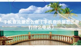 手机查流量怎么查（手机查流量怎么查打什么电话）