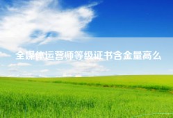 全媒体运营师等级证书含金量高么