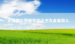 全媒体运营师等级证书含金量高么