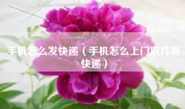 手机怎么发快递（手机怎么上门取件寄快递）