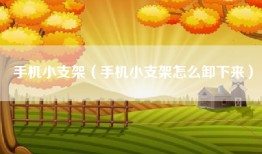 手机小支架（手机小支架怎么卸下来）