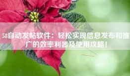 58自动发帖软件：轻松实现信息发布和推广的效率利器及使用攻略！