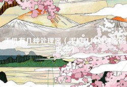 手机有几种处理器（手机几种处理器的区别）