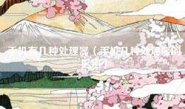 手机有几种处理器（手机几种处理器的区别）