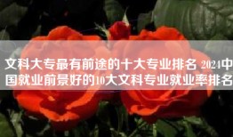 文科大专最有前途的十大专业排名 2024中国就业前景好的10大文科专业就业率排名