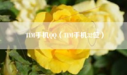 TIM手机QQ（TIM手机32位）