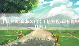 手机外置u盘怎么用（手机外接u盘在哪里打开）