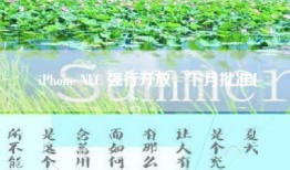 iPhone NFC 强行开放，下月批准！