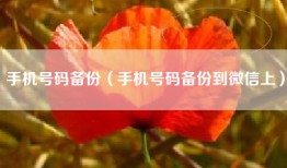 手机号码备份（手机号码备份到微信上）