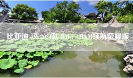 比亚迪 汉 2024款 DM-i 121KM领航荣耀版