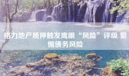 格力地产质押触发鹰眼“风险”评级 警惕债务风险