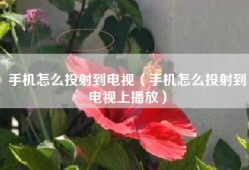 手机怎么投射到电视（手机怎么投射到电视上播放）