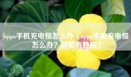 oppo手机充电慢怎么办（oppo手机充电慢怎么办？别慌有妙招）