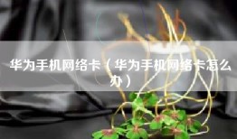 华为手机网络卡（华为手机网络卡怎么办）