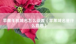 苹果手机域名怎么设置（苹果域名是什么意思）