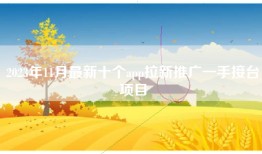 2023年11月最新十个app拉新推广一手接台项目