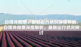 自媒体观察，最新运行状况深度解析，自媒体观察深度解析，最新运行状况探讨