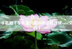 手机图（手机图片文字怎么转换成word文档）