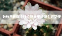 魅族手机哪个好（魅族手机哪个好又便宜）