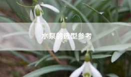 水泵的选型参考