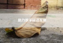 助力数字经济发展