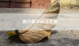 助力数字经济发展