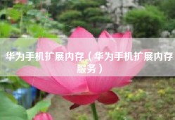 华为手机扩展内存（华为手机扩展内存服务）