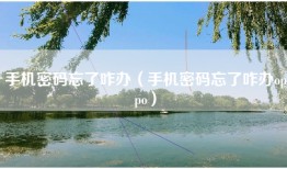 手机密码忘了咋办（手机密码忘了咋办oppo）