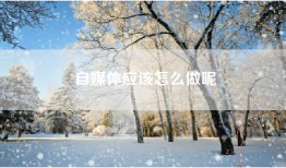 自媒体应该怎么做呢