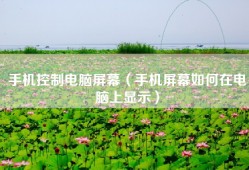 手机控制电脑屏幕（手机屏幕如何在电脑上显示）