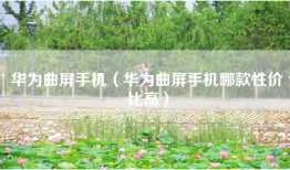 华为曲屏手机（华为曲屏手机哪款性价比高）