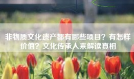 非物质文化遗产都有哪些项目？有怎样价值？文化传承人来解读真相