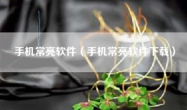 手机常亮软件（手机常亮软件下载）