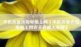 手机流量连接电脑上网（手机流量连接电脑上网会不会被人发现）