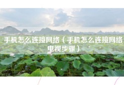 手机怎么连接网络（手机怎么连接网络电视步骤）