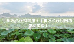 手机怎么连接网络（手机怎么连接网络电视步骤）