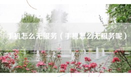 手机怎么无服务（手机怎么无服务呢）