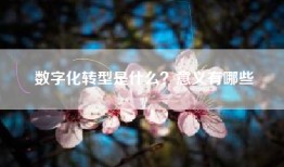 数字化转型是什么？意义有哪些