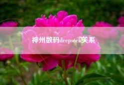 神州数码deepseek关系